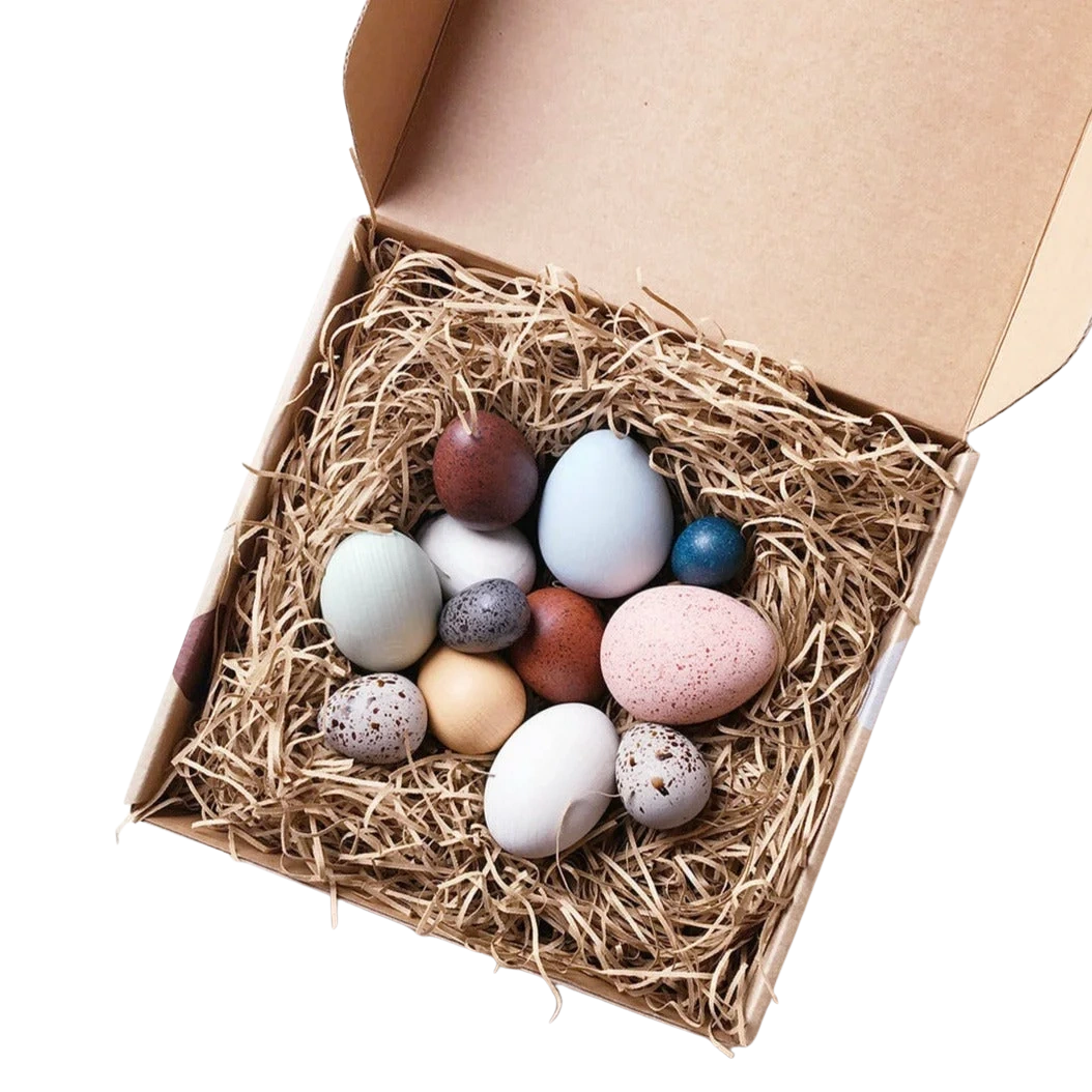 Set de huevitos de pajaro en una caja