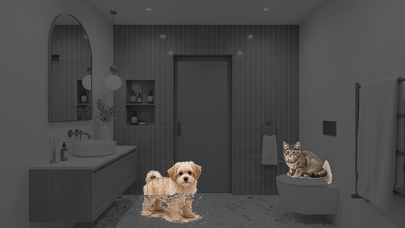 Mapa de cambios: el baño en gris y solo el perro, el gato y sus sombras en color, porque son los únicos píxeles que cambiaron