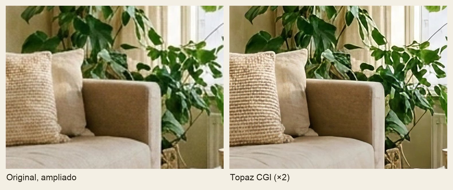 Detalhe ampliado de uma almofada e algumas plantas: à esquerda o original, mais suave; à direita a versão melhorada com Topaz CGI, mais nítida
